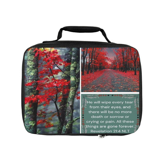 Revelations 21:4 Bible Bag
